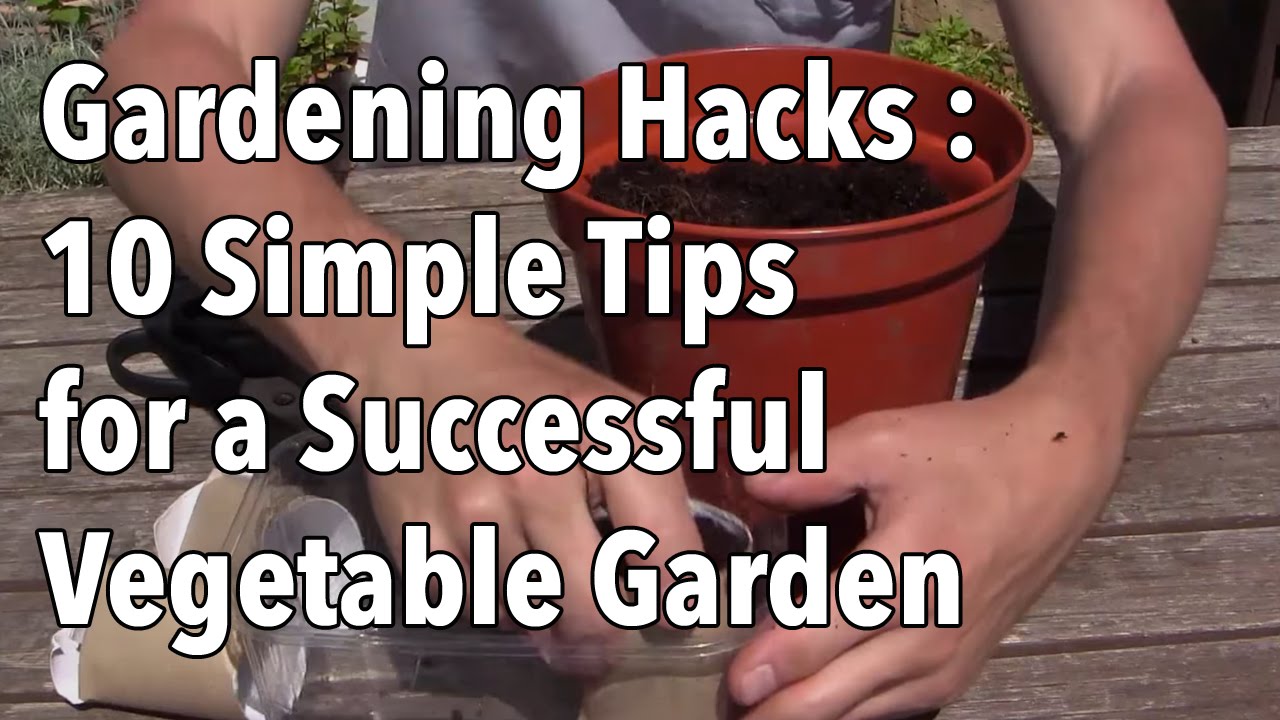Gardening Hacks – 10 Simple Tips for a Successful Vegetable Garden ...