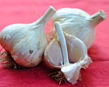 how to grow garlic, a q&a with filaree farm