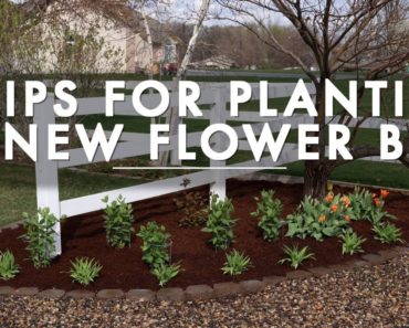 5 Tips for Planting a New Flower Bed Garden Answer