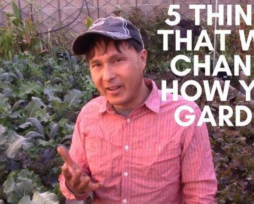 5 Things That Will Change How You Grow an Organic Garden Forever
