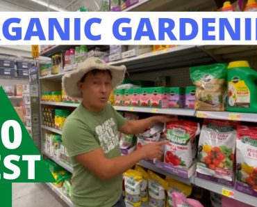 10 Best Organic Vegetable Gardening Products at Walmart