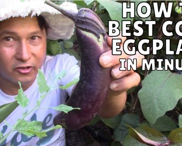 How to Cook Garden Fresh Eggplant the Healthiest Way in Minutes