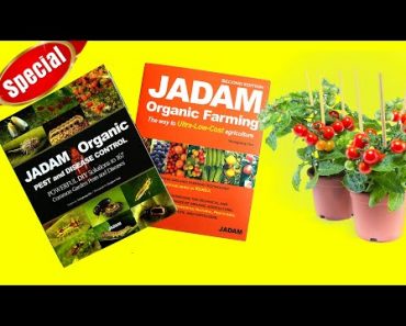 JADAM’S ULTRA-LOW-COST ORGANIC FARMING TECHNIQUES – NATURAL FERTILIZERS AND PESTICIDES