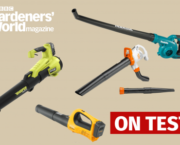 6 of the best leaf blowers and leaf blower vacuums