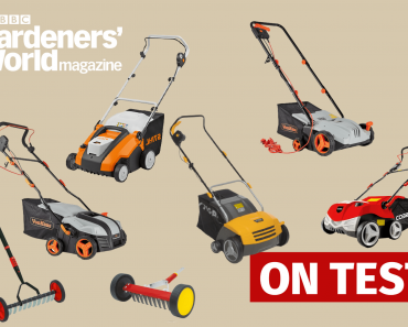 Eight of the best lawn scarifiers, from manual to mechanical machines