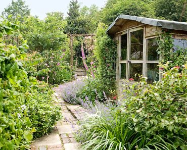 10 of the best garden sheds and how to choose one