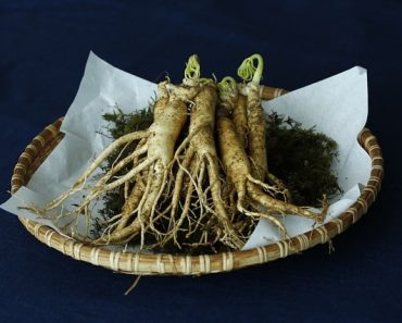 American vs. Asian Ginseng: What’s the Difference?