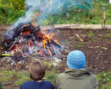 How to make a wildlife-friendly bonfire