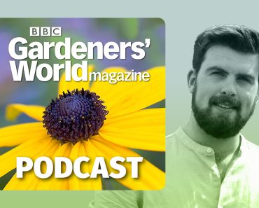 Growing veg in small spaces with Huw Richards