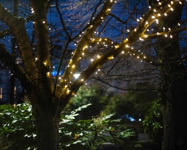 Ideas for festive lighting