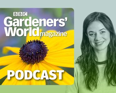 New ways to grow more veg – with Frances Tophill