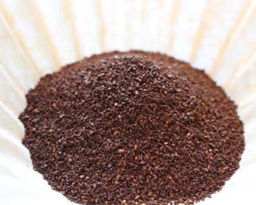 Should I Put Coffee Grounds in My Garden?