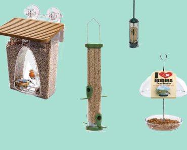 11 of the best bird feeders for your garden in 2022