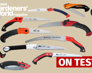 12 of the best pruning saws to buy in 2022