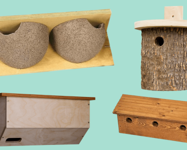 Seven of the best bird nesting boxes