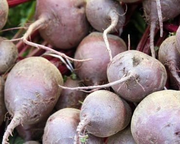13 Companion Plants for Beets to Consider