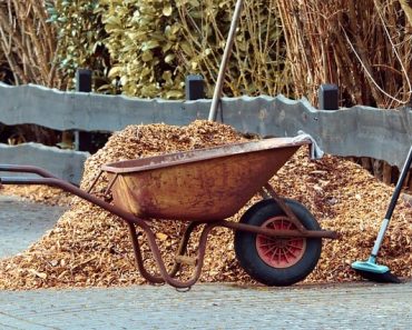 15 Mulch Alternatives for Your Garden