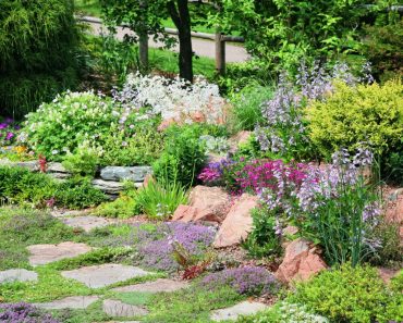 How To Make A Crevice Garden In Your Yard