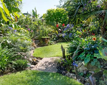 Make the most of a small garden