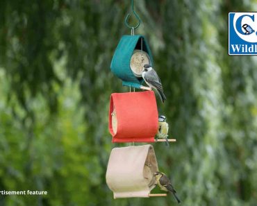 Win an Ultimate Bird Garden from CJ Wildlife