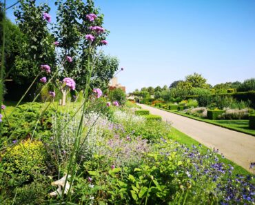 2-for-1 Gardens in Kent
