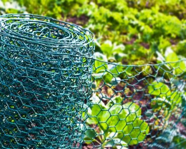 DIY Vegetable Garden Fencing Ideas
