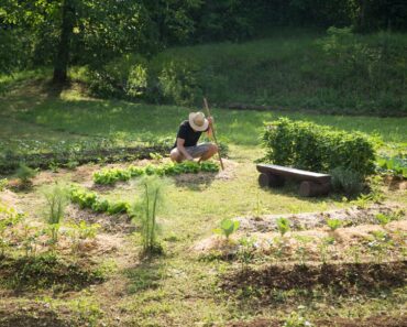 Basic Principles Of Permaculture Design