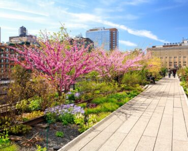Convince Your City To Adopt Native Landscaping
