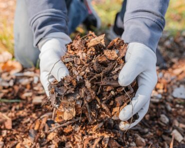 Natural Mulch And Sustainable Mulching Methods