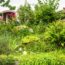 Earth-Friendly Ways To Get Rid Of Overgrown Plants