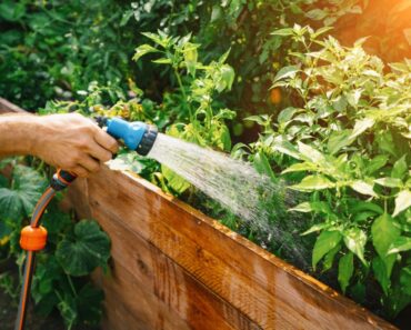 Tips For Growing Hot Weather Garden Vegetables