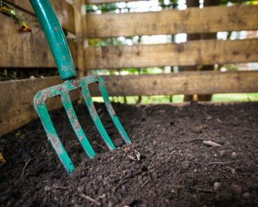 When And How To Harvest Compost