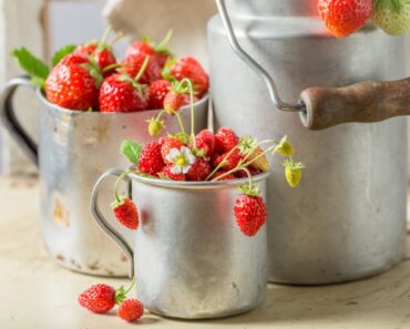 Are Wild Strawberries Edible And Safe To Eat?