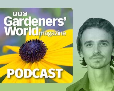 Gardening for mental wellness – with Joe Sugg