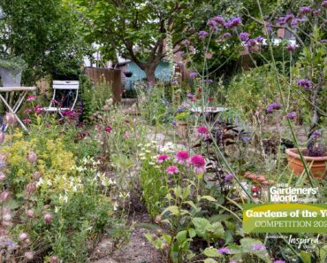 Gardens of the Year 2022 – People’s Choice