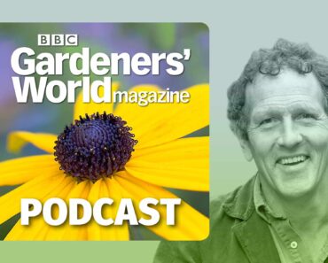 Monty Don on designing a small garden
