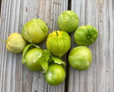 How to Grow Tomatillos in a Container