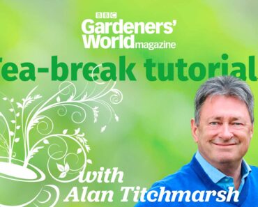 Tea-break tutorials with Alan Titchmarsh: episode 17 – exclusively for subscribers
