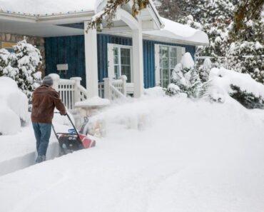 What Is Lake Effect Snow And How Does It Impact Gardens?