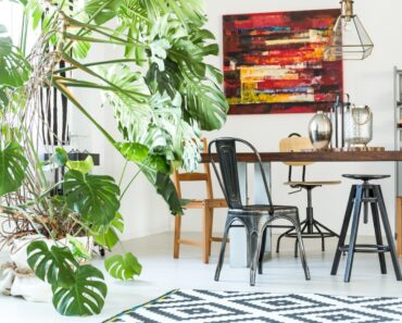 Best Big Houseplants To Create An Indoor Oasis