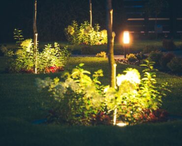 Negative Effects Of Night Lights For Outdoor Trees