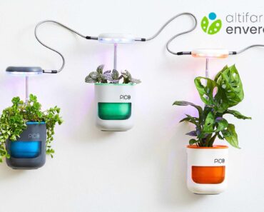 Win a PICO Smart Indoor Herb Planter, worth £41