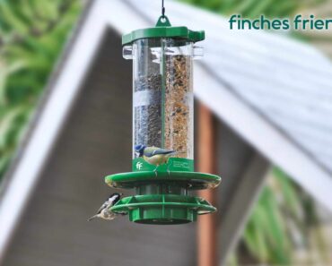Win a Finches Friend feeder worth £54.99