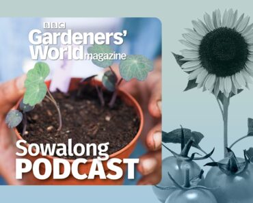 BBC Gardeners’ World Magazine Sowalong Podcast – series 2