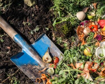 In-Garden Composting Techniques And Tips