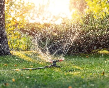 Upper Midwest Lawn Care Guide