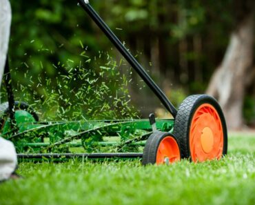 Why A Manual Push Mower Is Good For You And The Environment