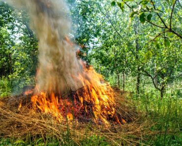 Why Burning Leaves And Brush Isn’t A Good Idea