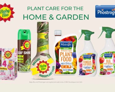 Win a plant care bundle from Phostrogen and Baby Bio