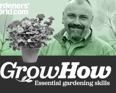 Essential gardening skills – Part three